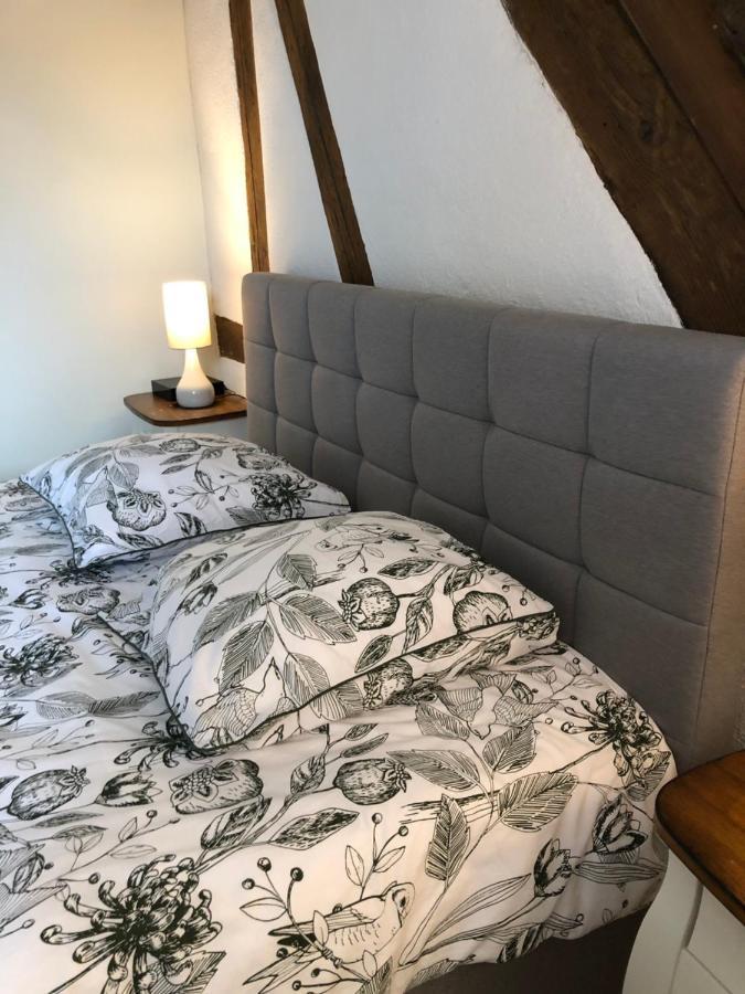 Ferienwohnung Colombages De La Lauch Colmar Exterior foto