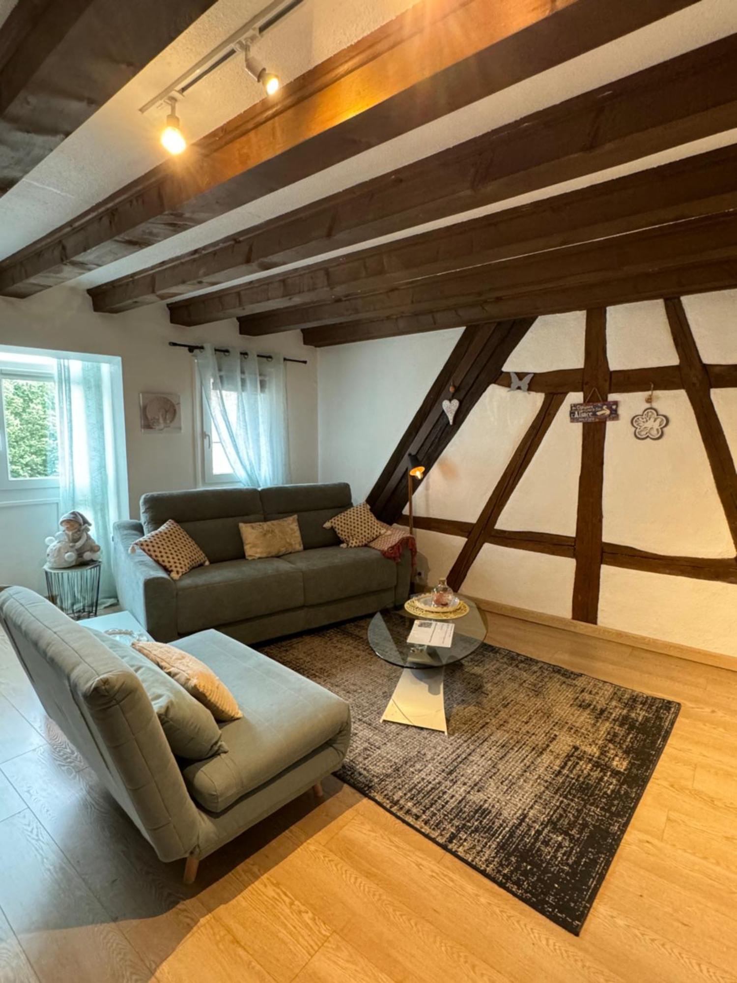 Ferienwohnung Colombages De La Lauch Colmar Exterior foto